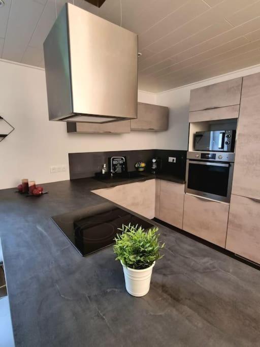 Appartement Chaleureux 80M2 Orbey Luaran gambar